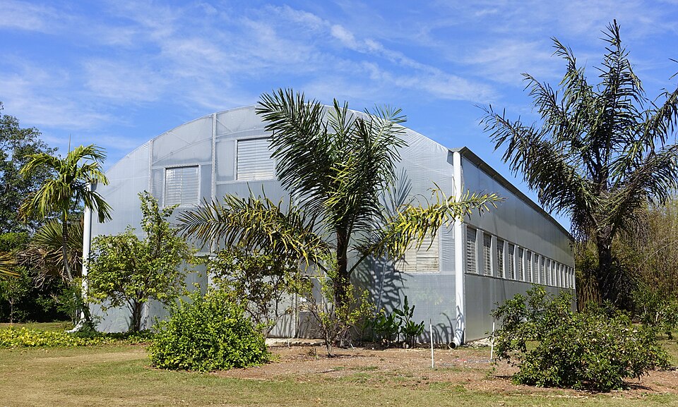 Fruit and Spice Park in Homestead, Florida