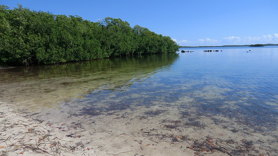 John Pennekamp Coral Reef State Park in Key Largo, Florida